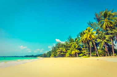 Güzel tropikal plaj ve deniz