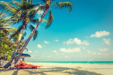 Şemsiye ve plaj sandalye