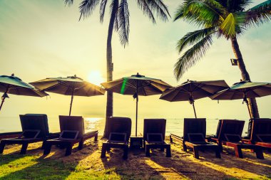 Plaj ve deniz güzel Hindistan cevizi hurma ağacı