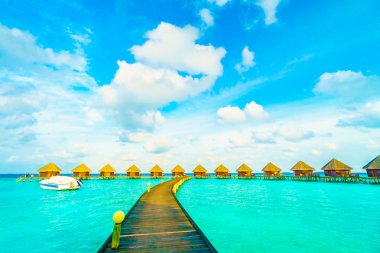 Güzel tropikal Maldivler ada
