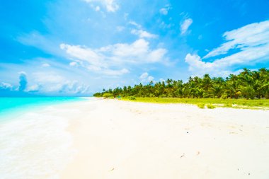 Güzel bir plaj ve deniz Maldivler Island