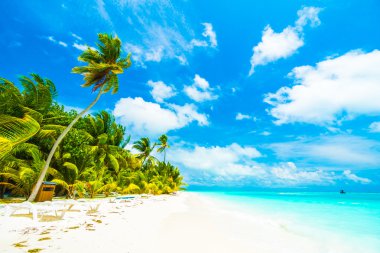 Güzel bir plaj ve deniz Maldivler Island