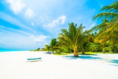 Güzel bir plaj ve deniz Maldivler Island