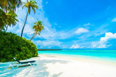Güzel bir plaj ve deniz Maldivler Island