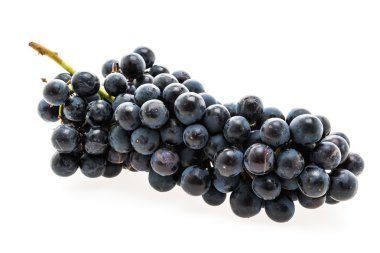 Taze siyah üzüm meyve