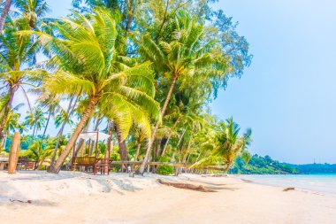 güzel tropik okyanus