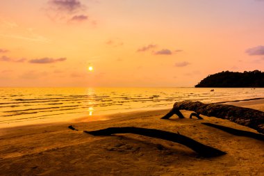 güzel tropik okyanus