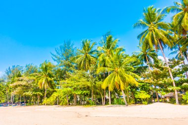 Güzel tropikal plaj ve deniz