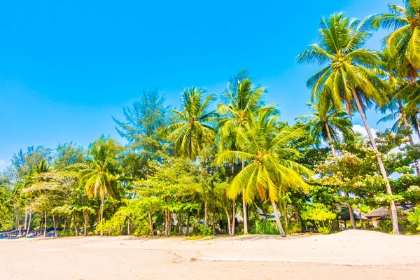 Beautiful tropical beach and sea — Stock Photo, Image