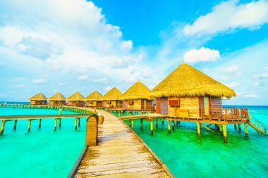 Güzel tropikal Maldivler ada