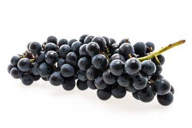 Taze siyah üzüm meyve
