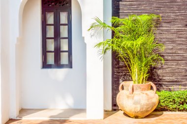 Vazo bitki dekorasyon dış cephe