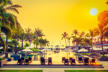 Güzel siluet palmiye ağacı