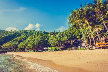 Güzel deniz ve sahil