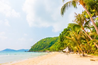 Güzel deniz ve sahil