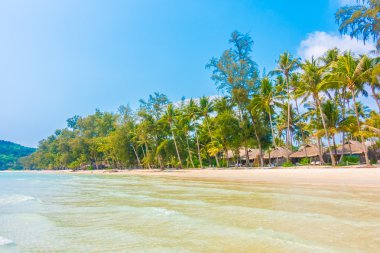 güzel tropik okyanus