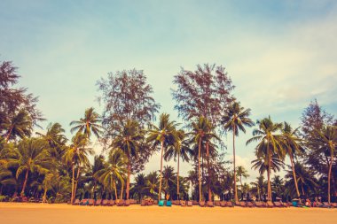 Güzel tropikal plaj ve deniz