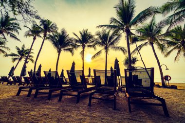 Plaj ve deniz güzel Hindistan cevizi hurma ağacı