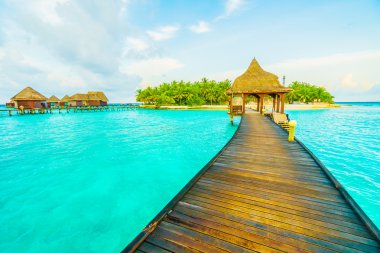 Güzel tropikal Maldivler ada