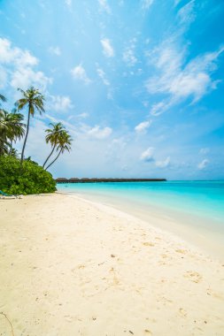 Güzel tropikal Maldivler ada