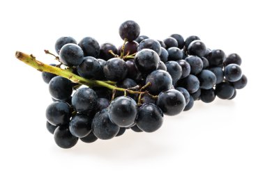 Taze siyah üzüm meyve