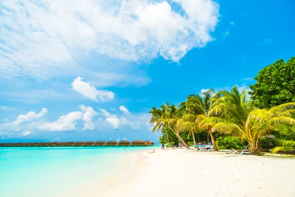 Güzel tropikal Maldivler ada