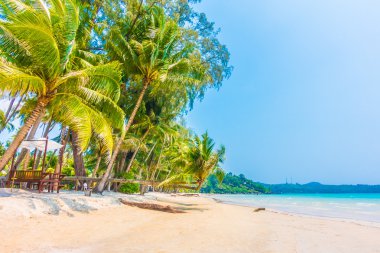 güzel tropik okyanus