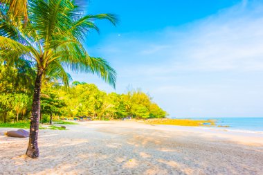 Güzel tropikal plaj ve deniz