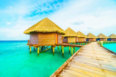 Güzel tropikal Maldivler ada