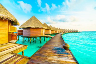Güzel tropikal Maldivler ada