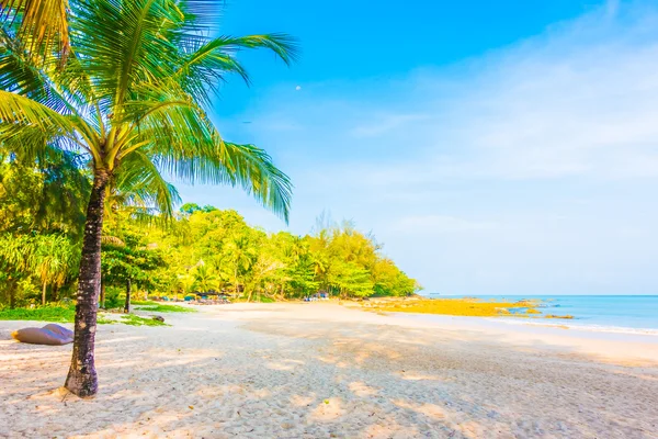 Güzel tropikal plaj ve deniz