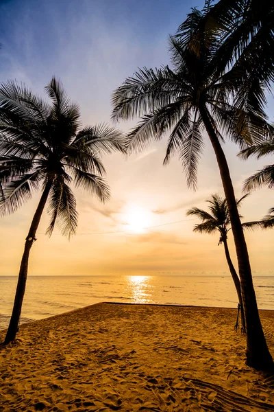 Vakre kokospalmer på strand og hav – stockfoto
