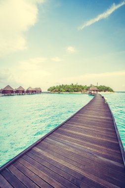 Güzel tropikal Maldivler ada