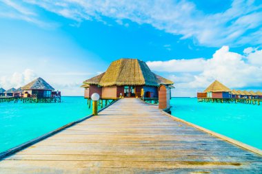 Güzel tropikal Maldivler ada