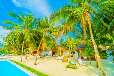 Güzel tropikal Maldivler ada