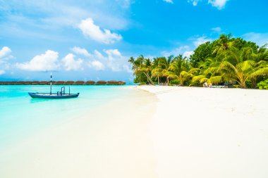 Güzel tropikal Maldivler ada