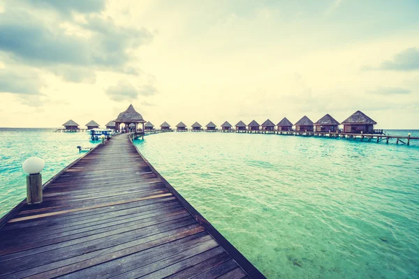 Güzel tropikal Maldivler ada