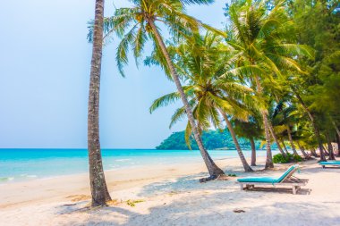 güzel tropik okyanus