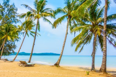 Güzel sahil ve deniz