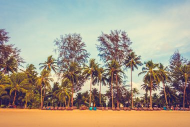 Güzel tropikal plaj ve deniz