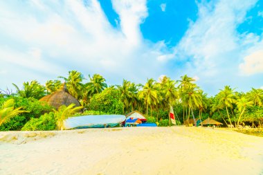 Güzel tropikal Maldivler ada