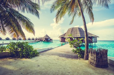 Güzel tropikal Maldivler ada