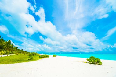 Güzel Maldivler ada