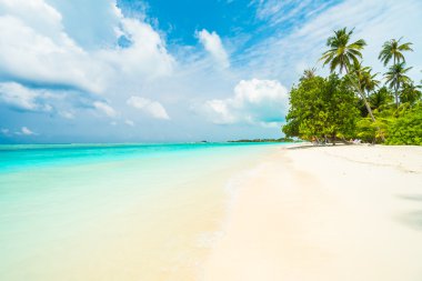 Güzel tropikal Maldivler ada