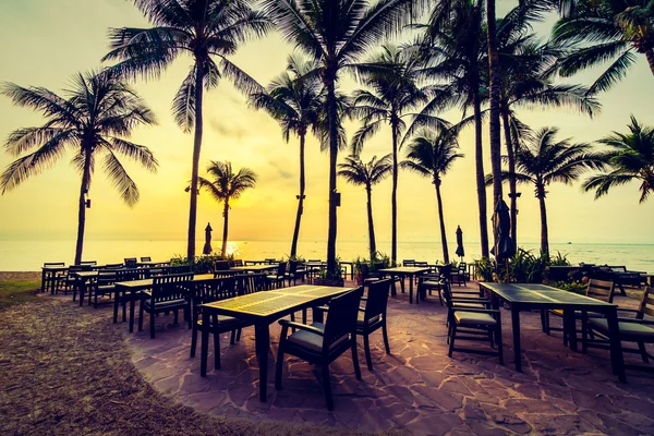 Plaj ve deniz güzel Hindistan cevizi hurma ağacı