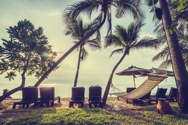 Krásný kokosová palma na pláž a moře — Stock fotografie