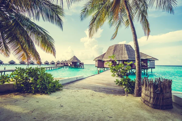 Güzel tropikal Maldivler ada