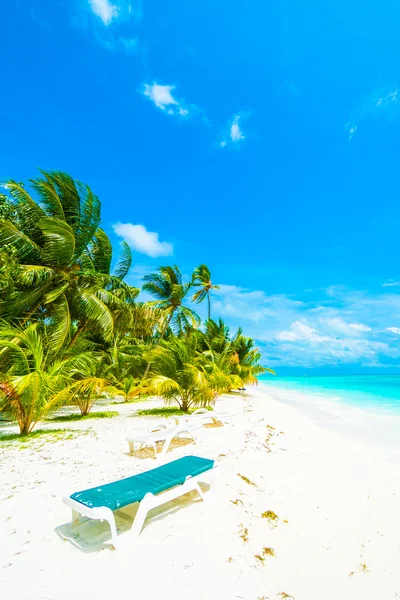 Güzel Maldivler ada