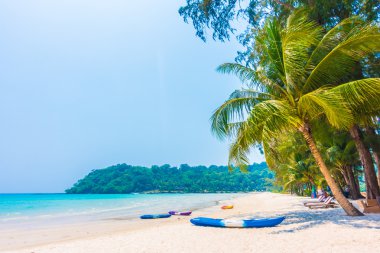 güzel tropik okyanus