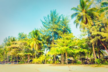 Güzel tropikal plaj ve deniz